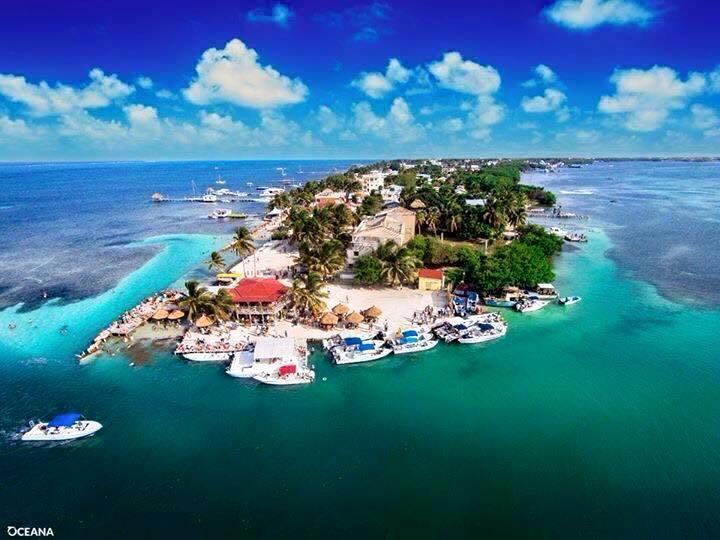 Bonita'S Daire Caye Caulker Oda fotoğraf