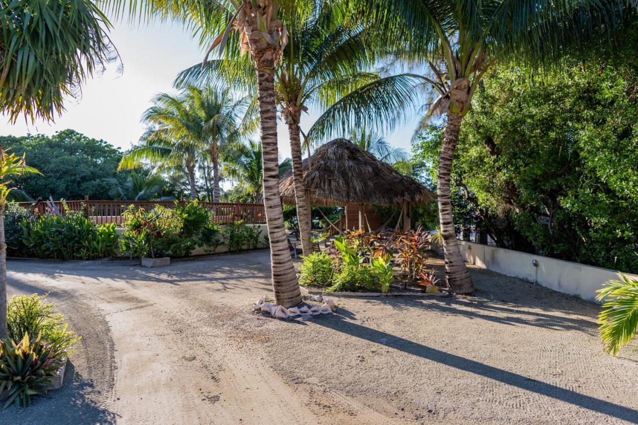 Bonita'S Daire Caye Caulker Dış mekan fotoğraf